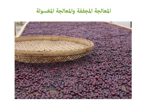 معالجة القهوة المجففة والمغسولة